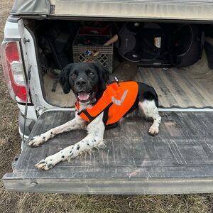 Meet your Posher, Cameron